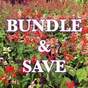 🌸make me an offer🌸